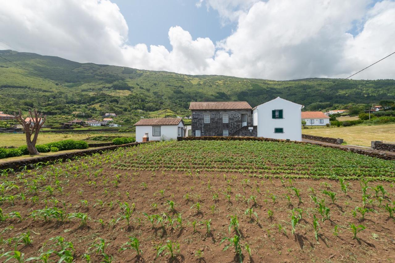 Prainha Apartments 상호케도피코 외부 사진
